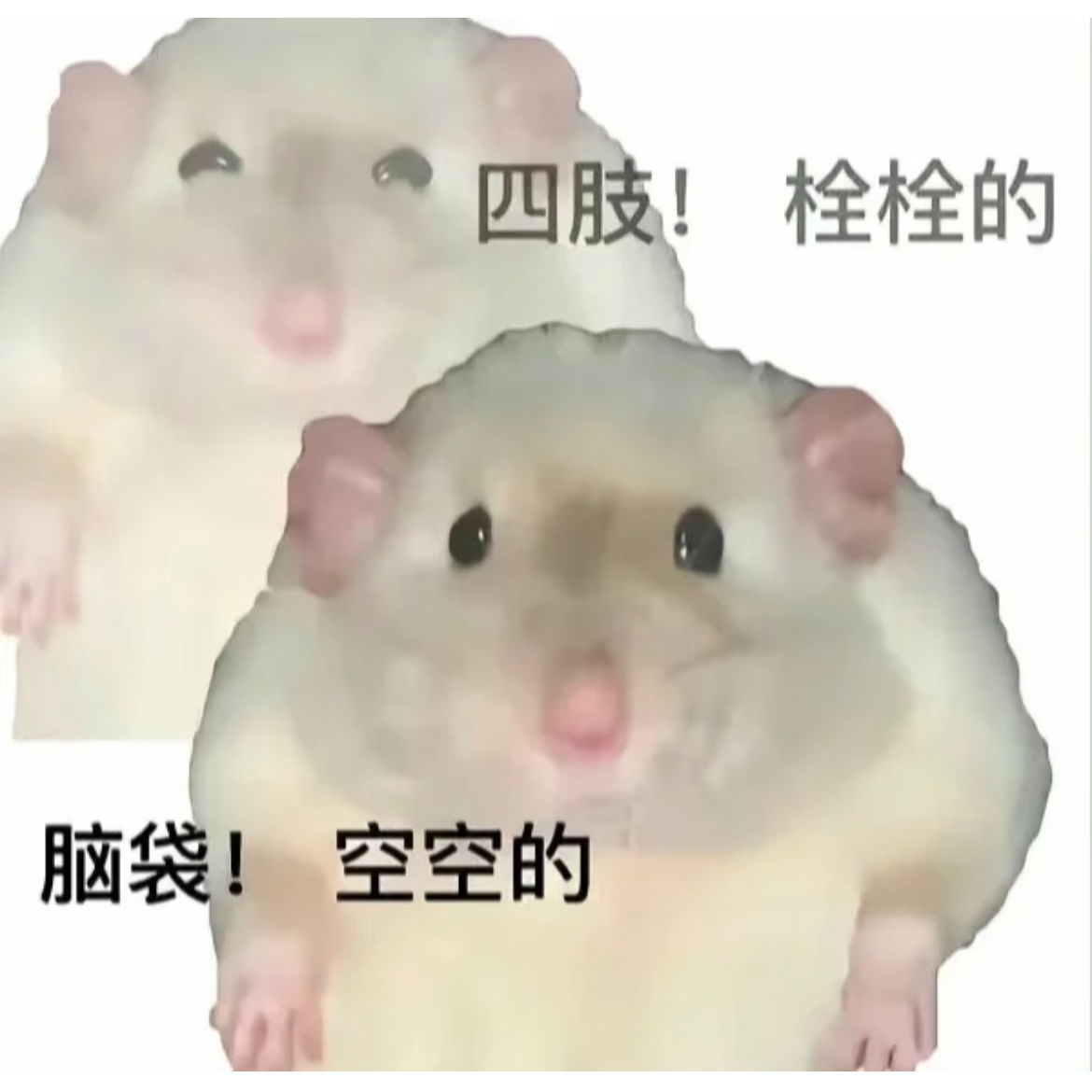 12.童年未解之谜：生殖健康与卫生 episode artwork
