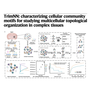096-TrimNN: Analyzing Cellular Communities
