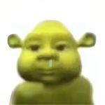 叫啥都行呀