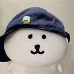 泊湮
