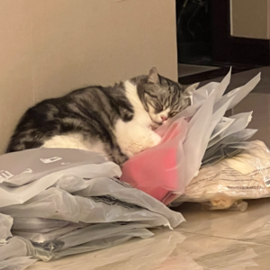 EP.33 好物还是废物？我自有决断