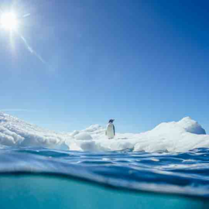 BBC Media|臭氧层空洞:为什么南极动植物被 “晒伤” 了?
