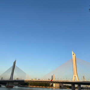 10恭喜你入围生活最佳演员奖