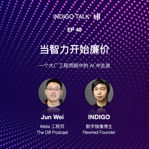 当智力开始廉价 / 一个大厂工程师眼中的 AI 冲击波 - Indigo Talk EP49