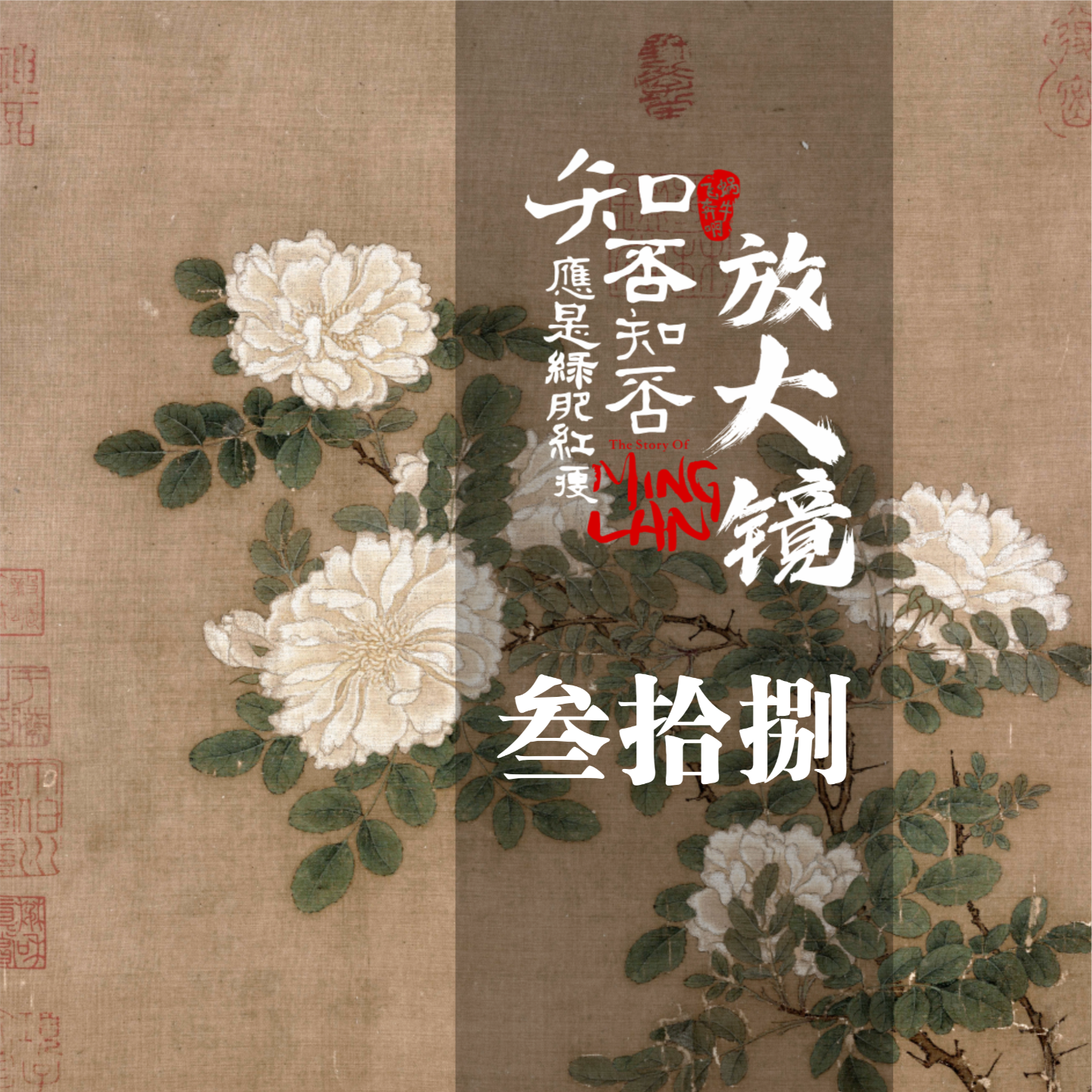 知否放大镜38：管家这个事，从来都不容易 episode artwork