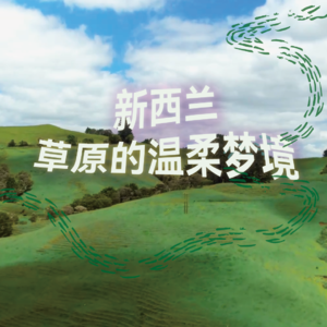 新西兰草原的温柔梦境｜2小时超长沉浸式引导睡眠｜高质量中文快速深度催眠冥想放松助眠