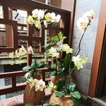 神经蛙_rHY1