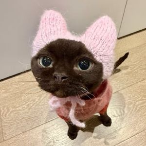 李嚼