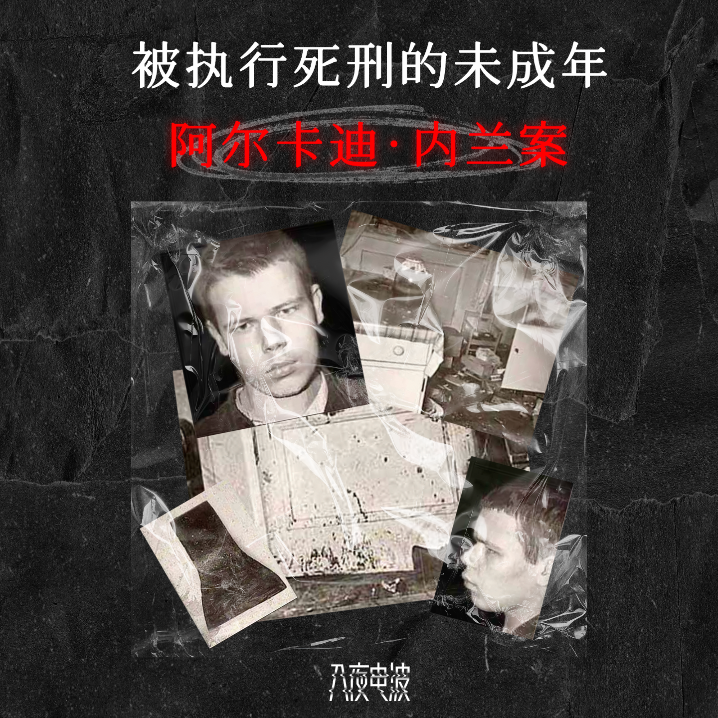 001.被执行死刑的未成年：阿尔卡迪·内兰案 episode artwork