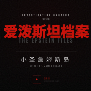 爱泼斯坦档案03:小圣詹姆斯岛