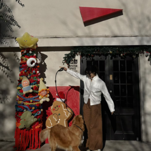 每日例汤#02写给牡蛎的情书