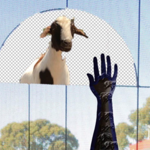 失业的自由 你我ta