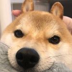 9PM书桌前