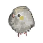 鹦饼