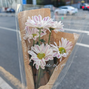 NO.028 珍爱每一个朝阳再起的明天