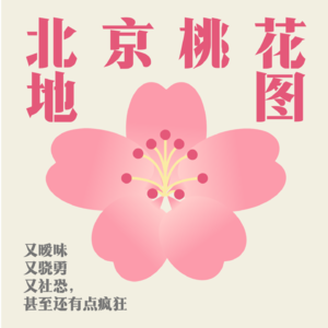 05.北京桃花地图：又暧昧又骁勇又社恐，甚至有点疯狂