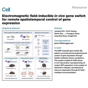 908-Gene Switch for Precise Spatiotemporal Control