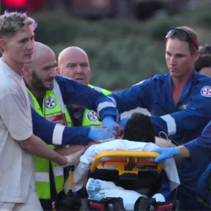 E896 两起枪杀震惊全球，悉尼海滩惨案跟美国校园案有什么不一样？