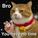 YOLO_4TY8