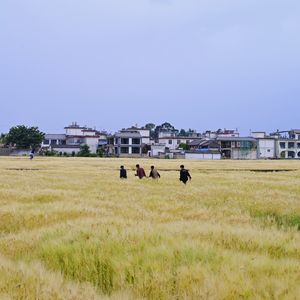 大象-西游记