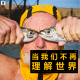 三好乱弹 - 当我们不再理解世界