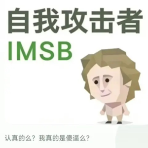 一夜爆火的SBTI到底说明了什么：这代年轻人需要一个电子避难所