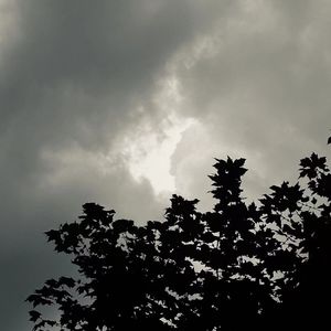 vol.151｜狂恋战神也配找到真爱？