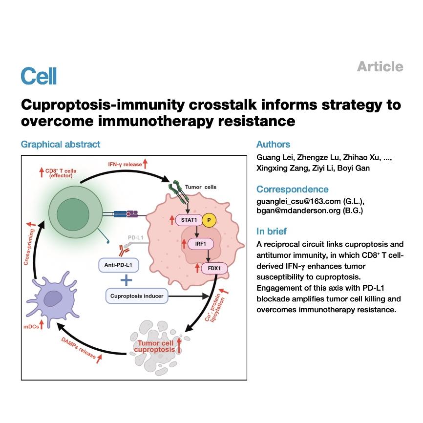 1308-Cuproptosis-Immunity Crosstalk episode artwork