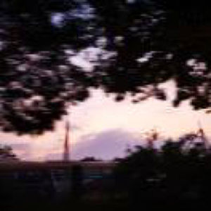 阳光下的自留地