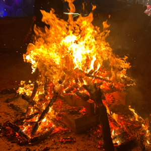 35|有钱没钱回家过年?这届年轻人不听劝了!