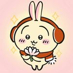 56号月亮