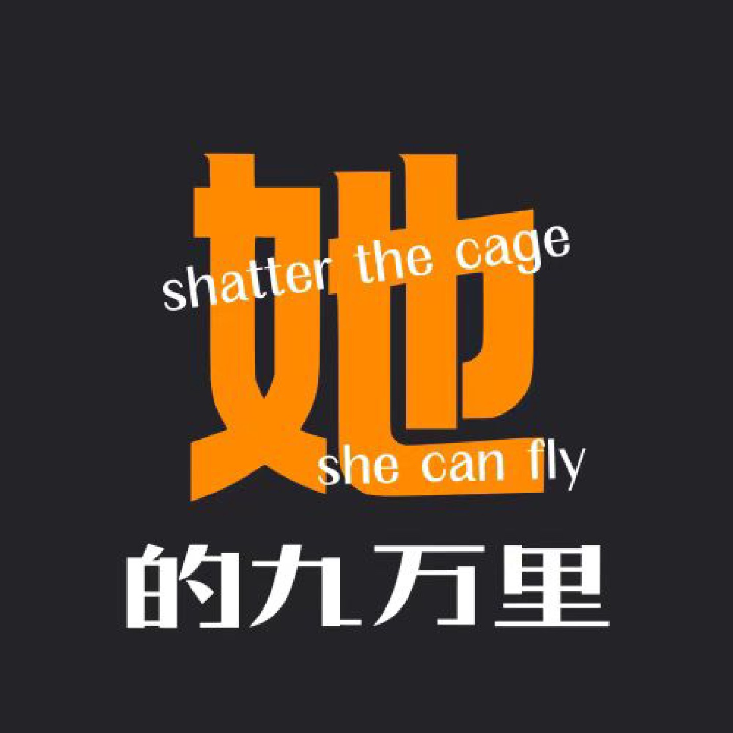 她的九万里 cover art