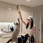kokkiii-