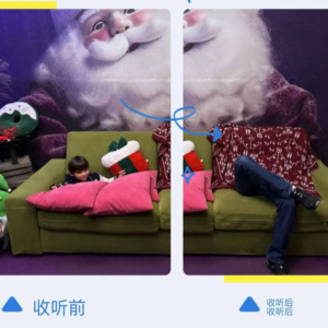 石在有冰1｜我们不满于韩江获得诺贝尔文学奖，却又同情并理解麦琳