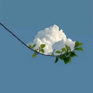 Vol.44 极致盘点，周末两天给谁出去玩爽了？！