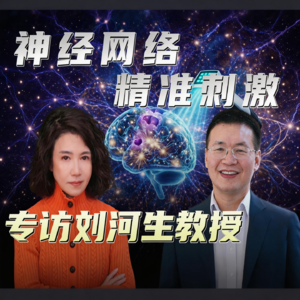 精准刺激神经网络-专访刘河生教授