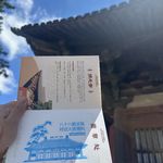 逗可以