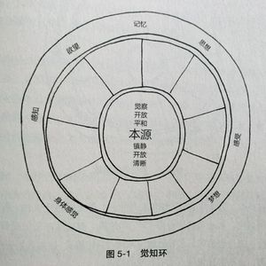 16.【觉知环】感觉自己很糟糕！因为我们总盯着一个点看