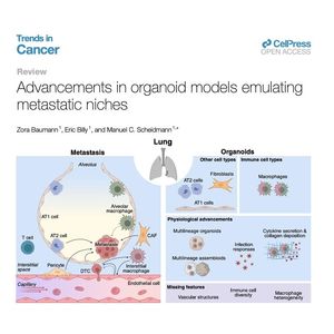 1047-Organoid Models Emulating Metastatic Niches