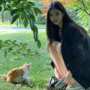 Kitty_yrzp