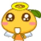 宝宝老板