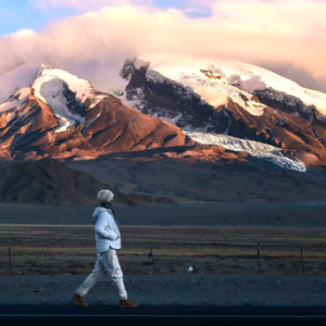 041.我婆婆居然跟我道歉了...