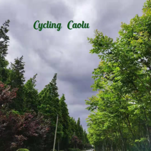 上海通勤（1）：终极牛马线的终点站——9号线曹路站 S2E17