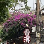 45｜茶好咖好烤鱼好！去普洱，来一场酣畅淋漓的连吃带拿