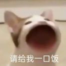 吃鱼熊熊熊