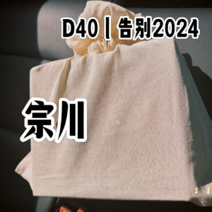 D40|告别2024