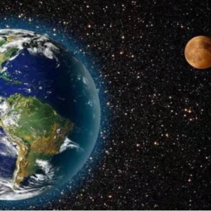 《卓越基因》人依靠人的文化