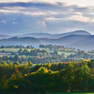 EP46 风格轮动、机器学习与量子飞跃