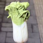 爱摆臭脸的甜心公主