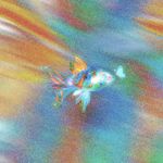 _erDuo-